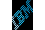 IBM Information Technology and Services